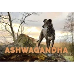 Ashwagandha cbdoggy