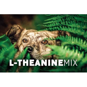 L-theanine mix