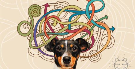 Overprikkelde hond header