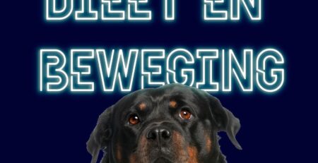 dieet hond