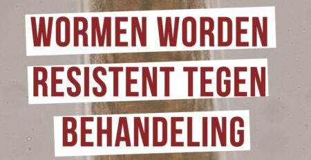 haakwormen resistent