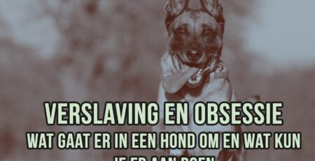 verslaving honden