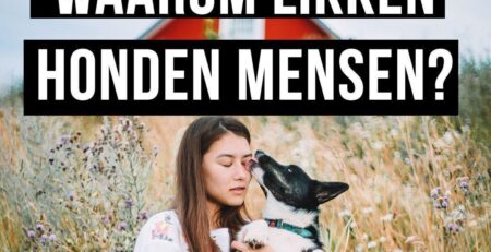 waarom likken honden