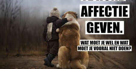 hond knort bij aaien