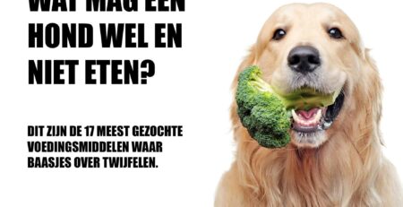 mag een hond tomaat