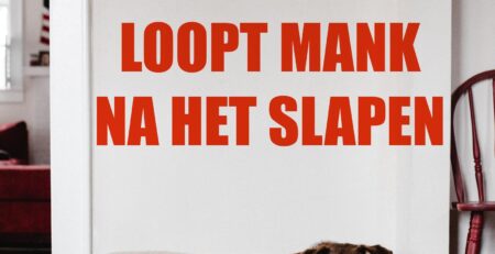 hond mank na slapen