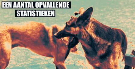 bijtincidenten