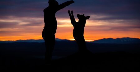 hond bang in het donker