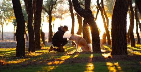 ontspannen wandelen met je hond