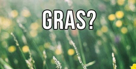waarom eet mijn hond gras