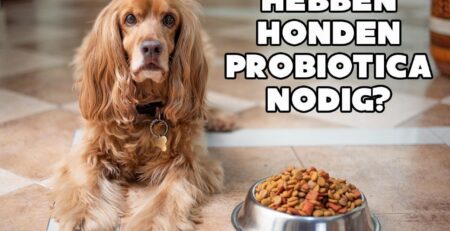 honden probiotica
