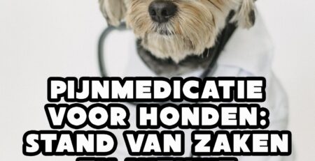 pijnmedicatie voor honden