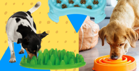 slowfeeder anti schrokbak hond