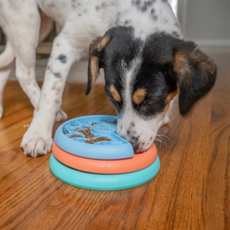 Likmat voor de hond: wat je moet weten