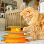 Petstages Tower Of Racks Oranje - Afbeelding 4