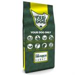 Yourdog Chien Français Tricolore Senior - Afbeelding 1