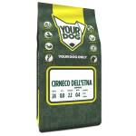 Yourdog Cirneco Dell'etna Senior - Afbeelding 2