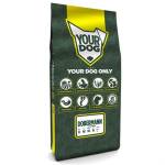 Yourdog Dobermann Volwassen - Afbeelding 1