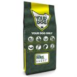 Yourdog Drentsche Patrijs Volwassen - Afbeelding 1