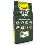Yourdog Duitse Brak Pup - Afbeelding 1