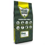 Yourdog Duitse Herder Volwassen - Afbeelding 1
