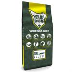 Yourdog Duitse Staande Draadhaar Pup - Afbeelding 1