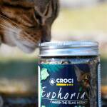 Croci Euphoria Catnip Pot - Afbeelding 3