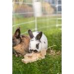 Trixie Snack Cups Voor Ratten En Konijnen Hout - Afbeelding 6