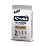 Advance Adult French Bulldog - Afbeelding 1