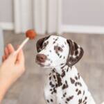 Trixie Premio Lolly Met Kabeljauw - Afbeelding 4